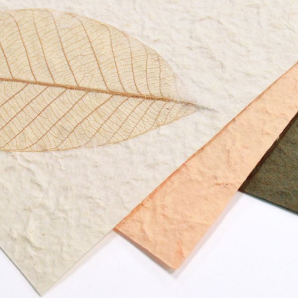 15.2x18cm花瓣紙(8柄入)材料包